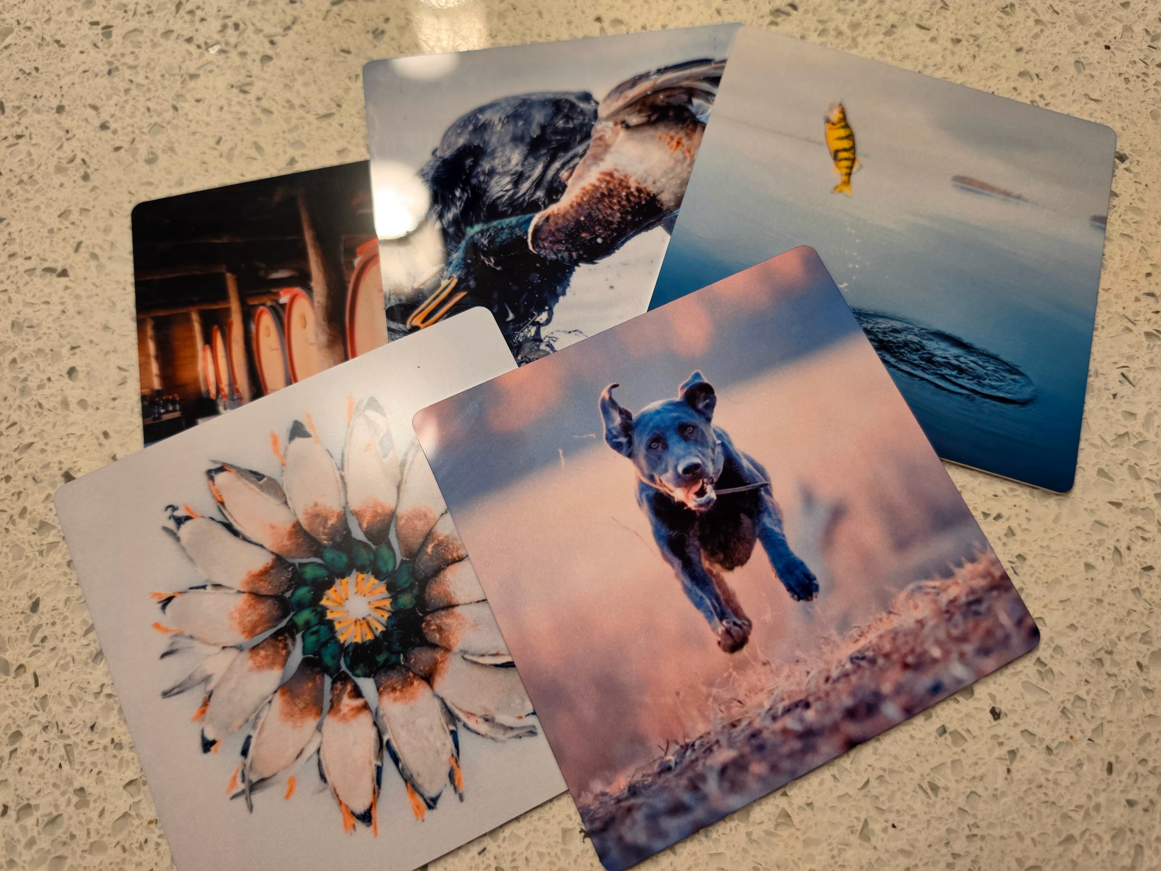 Samples of 4x4 Chromaluxe prints